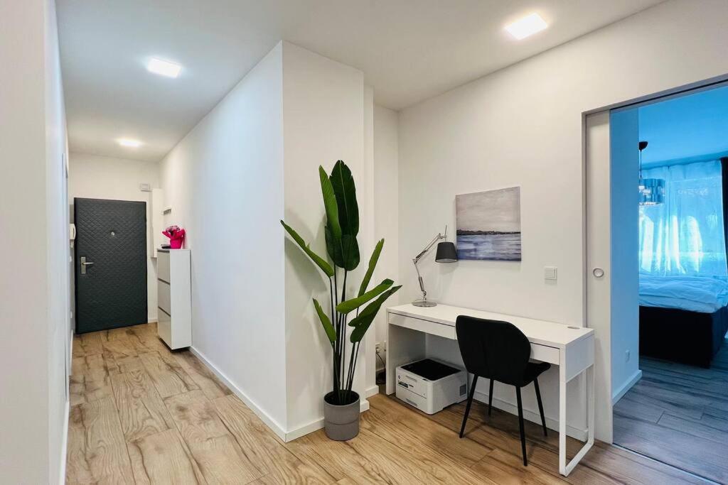 Central Designer 3 Room Apt With Terrace & Parking Berlin Extérieur photo